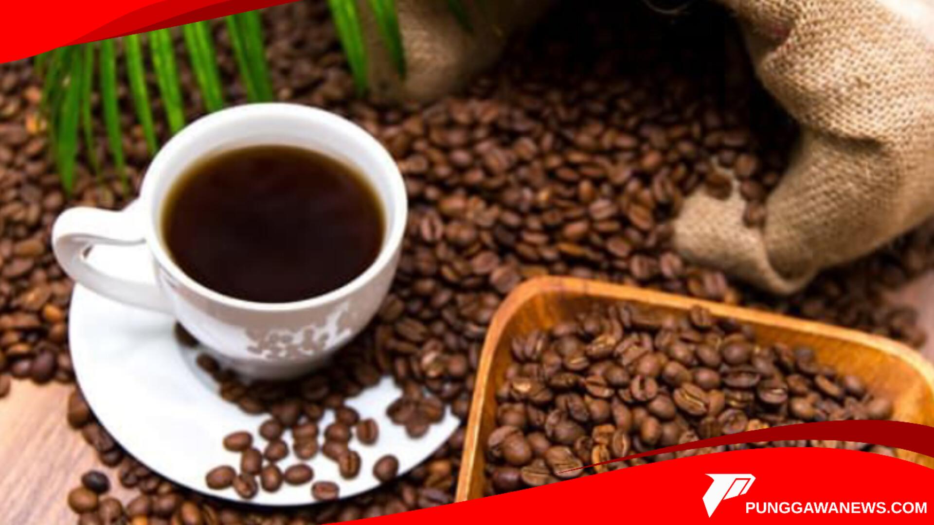 Liberika: Si “Primadona Tersembunyi” di Balik Dominasi Arabika dan Robusta